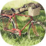 3D自行车越野模拟器