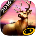 猎鹿人2016