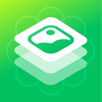 星云相册整理助手