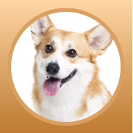 狗狗图鉴(专业动物科普图鉴)安卓正式版