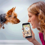 动物语言翻译模拟器