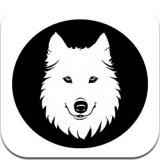 小狼直通车(小狼直通车礼包码)V2.5.02 安卓手机版