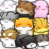 小仓鼠的快乐生活