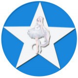 空间评赞精灵官网版