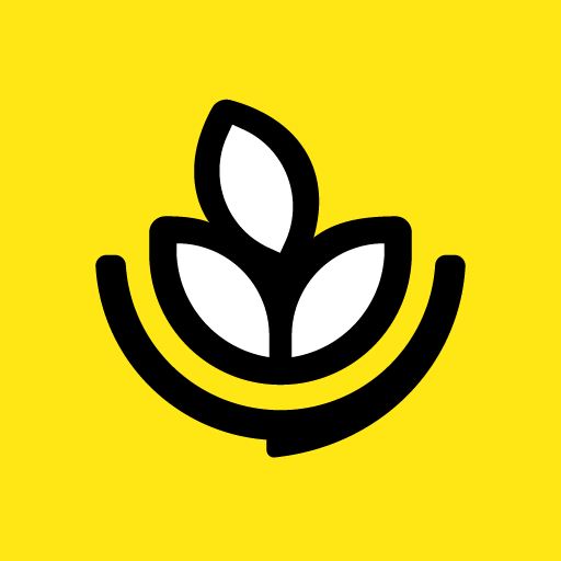 燕麦烘焙家庭烘焙小帮手