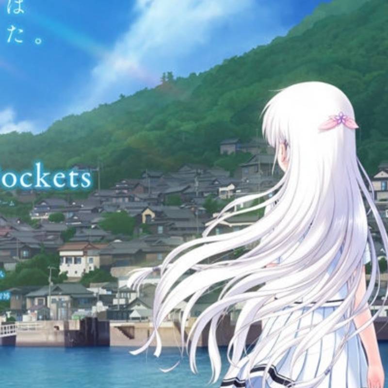 夏日口袋官网版