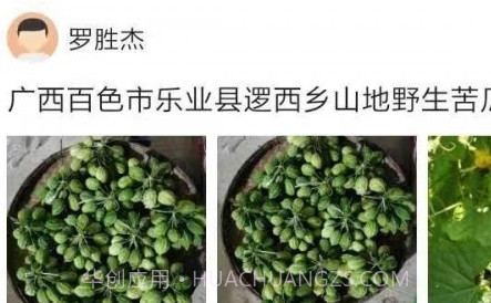 助农通v1.0.13截图