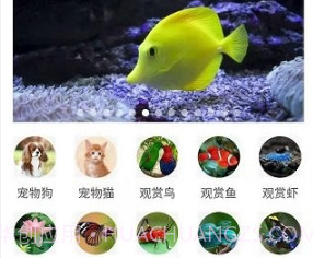 万物识别v2.1.56.6截图