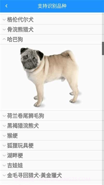 哈狗识别v1.0.9截图