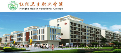 红河卫职院oav3.2.10截图