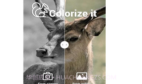 Colorize Itv1.1.9截图