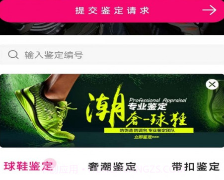 新995鉴定v1.0.10截图