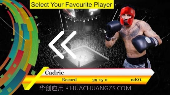 空手道拳打勇士3D功夫格斗v1.13截图
