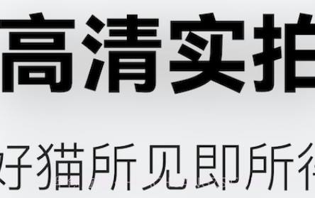 随它v1.0.9截图