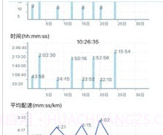 Pacerv4.6截图