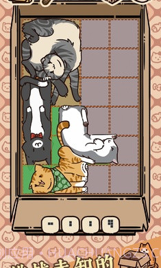 盒子猫1.2截图