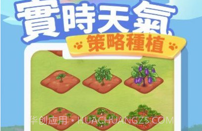 猫咪旅游记v1.0.12截图