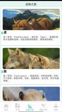 动植物之家官方0.6截图