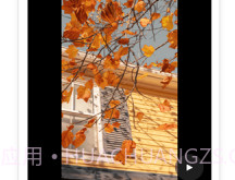 云秒剪v1.7截图