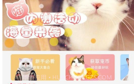 猫咪汇v1.0.11截图