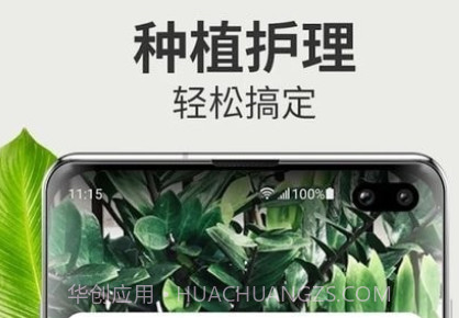 Blossom植物识别v1.1.14截图
