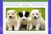 动物园首富v1.9截图