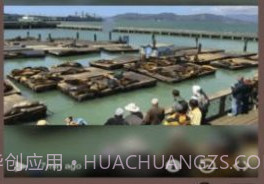 Live Camera Viewer软件v1.7截图