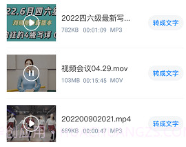 王牌录音转文字v2.0.11截图