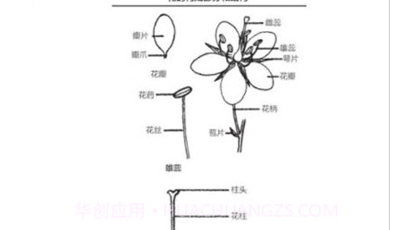 野外植物识别手册v1.0.13截图