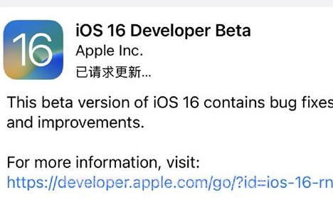 ios16描述文件v1.21截图