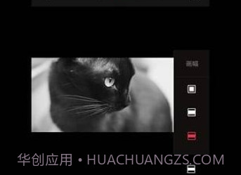 VUEv1.7截图
