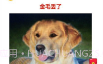 宠物的日记V1.0.6截图