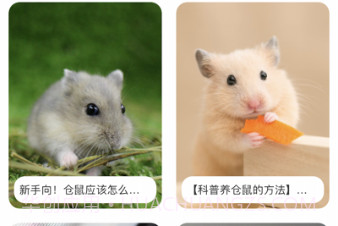 我的仓鼠日常v1.0.9截图
