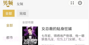 顽石小说v1.9截图