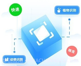 AI扫描精灵v1.0.11截图