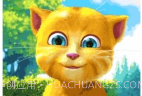 会说话的金杰猫2v2.5.5截图