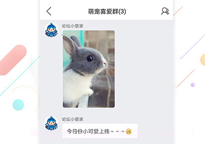 烟台论坛v5.13截图