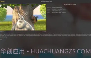 nPlayerv3.12.22截图