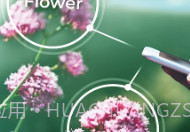 PlantSnapV3.00.6截图