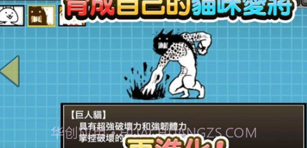 猫咪大陆v1.14.0.13截图