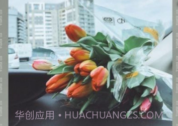 ProCCD相机v1.11截图