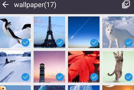 隐私保护大师v1.5截图