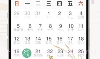 好运日历大字版v1.12截图