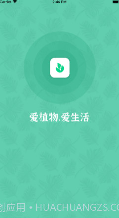 口袋绿植v1.12截图