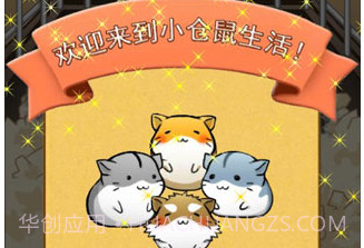 仓鼠的日常v4.6.2v4.6.6截图