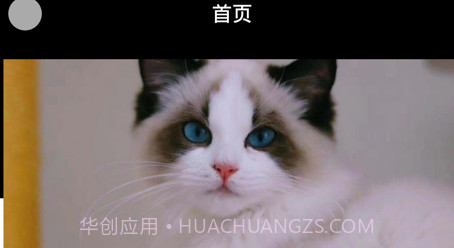 悦宠宠物美容服务v1.9截图