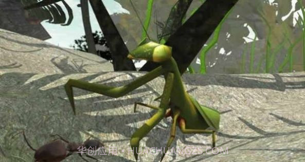 3d蚂蚁模拟器V3.3.10截图