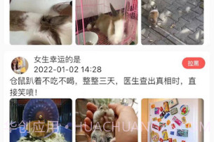 宠爱体v1.8截图