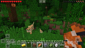 我的世界国际版（Minecraft）v2.5.5.5截图