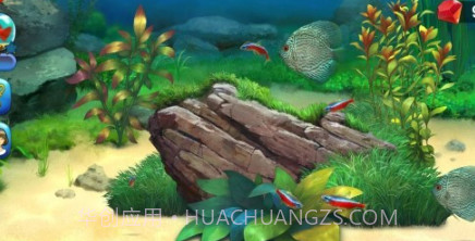 海底世界消除v0.0.15截图